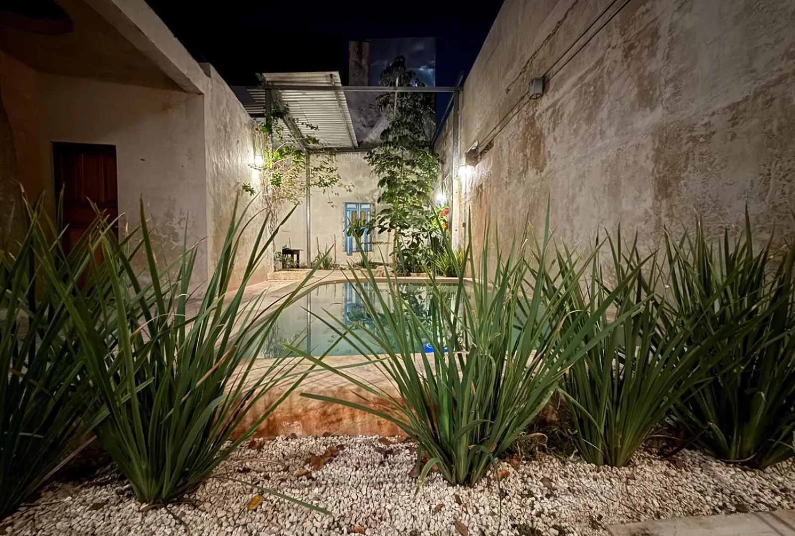 Casa Nido Rosa Planta Baja Completa Bed & Breakfast Merida Mexico